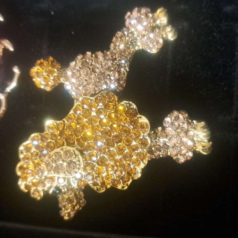 Elegant Gold and Silver Brooches - Picture 11 of 11
